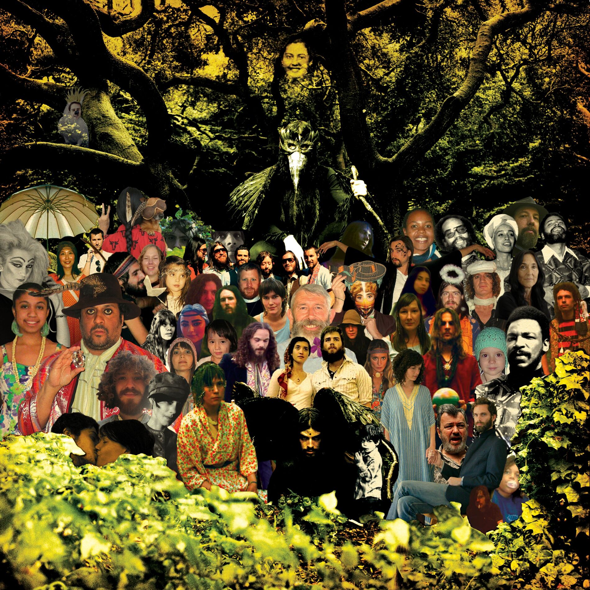 Album cover of Now That I Know