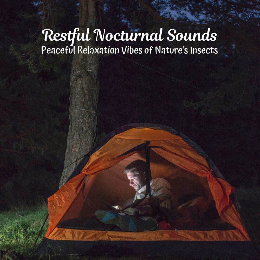 Picture of Restful Nocturnal Sounds: Peaceful Relaxation Vibes of Nature's Insects