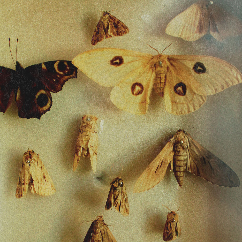 Picture of Paralipsis EP