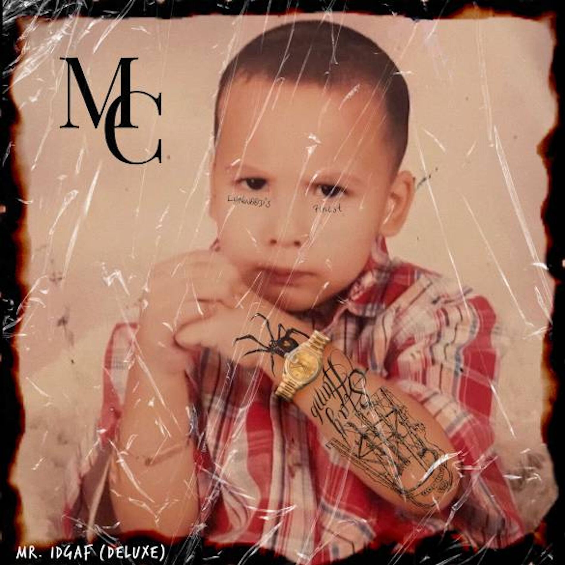 Album cover of MR. IDGAF (DELUXE)