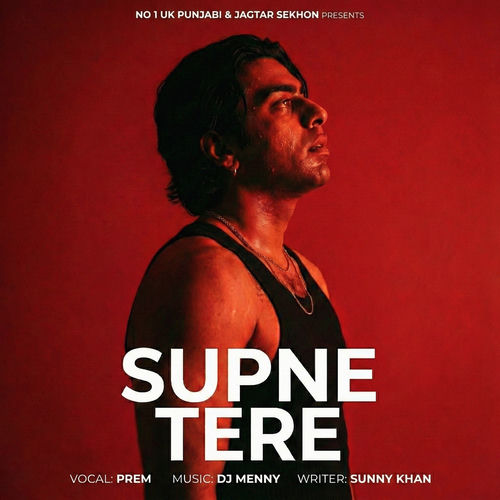 Supne Tere