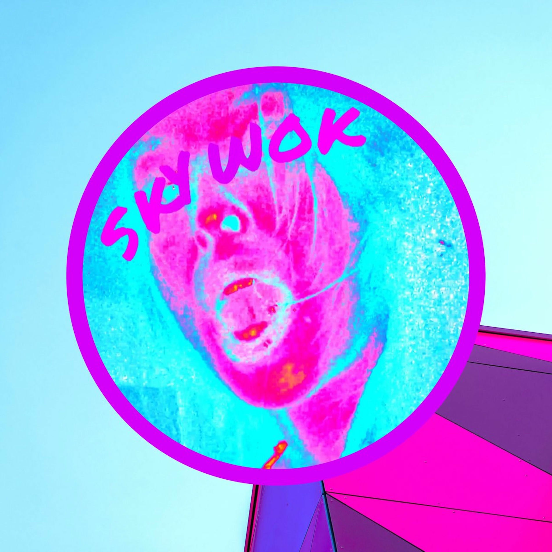 Album cover of Skywok