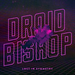 Lost in Symmetry