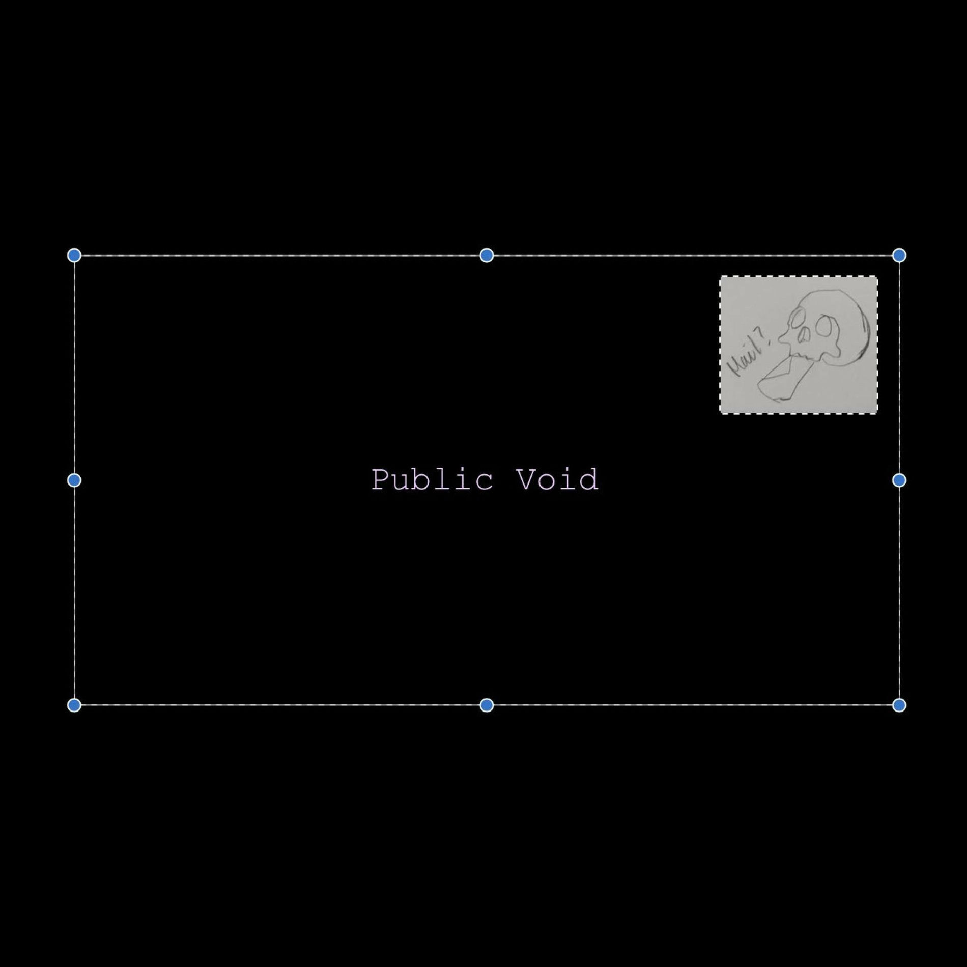 Album picture of Public Void
