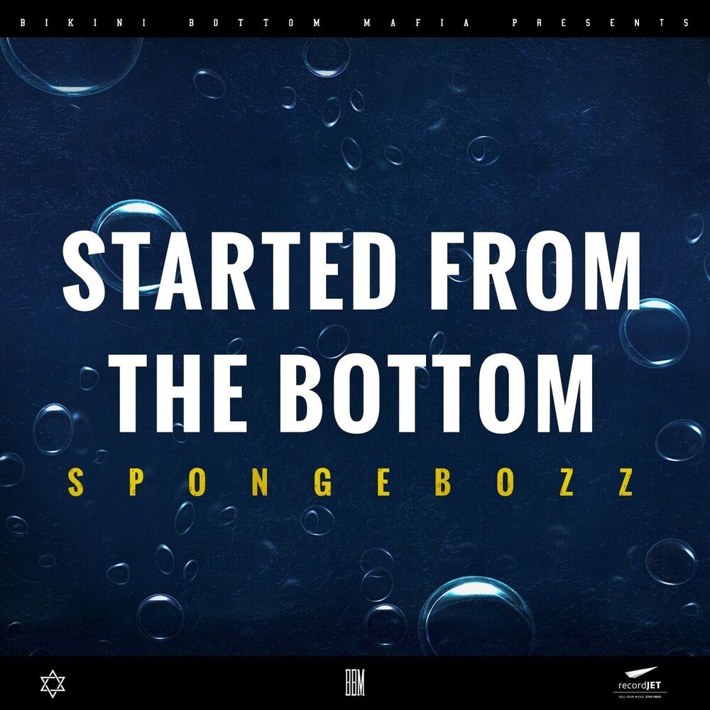 Picture of Started from the Bottom