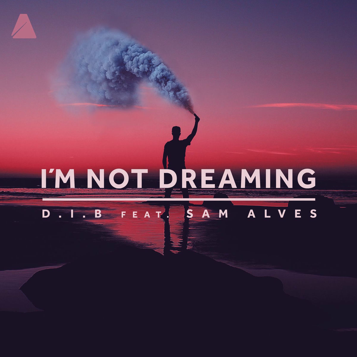 Album cover of I'm Not Dreaming