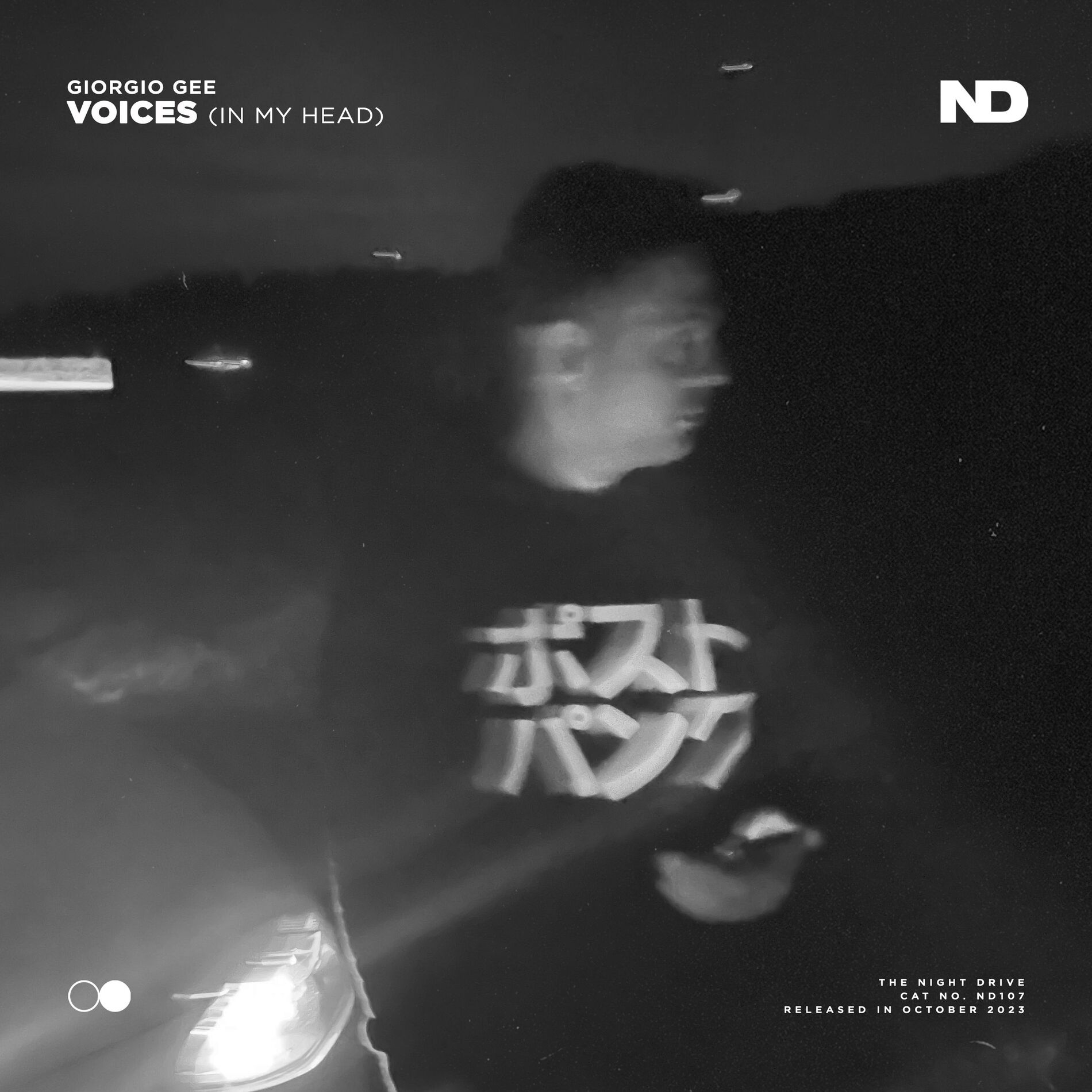 Album cover of Voices (In My Head)