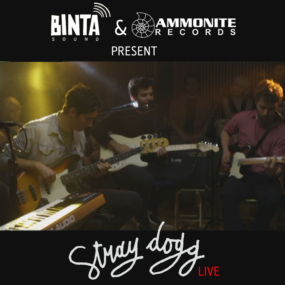 Picture of Binta Sound Presents: Stray Dogg (Live)