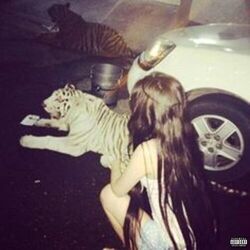 Cover of swagger
