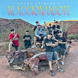 Cover of Reaccionandote