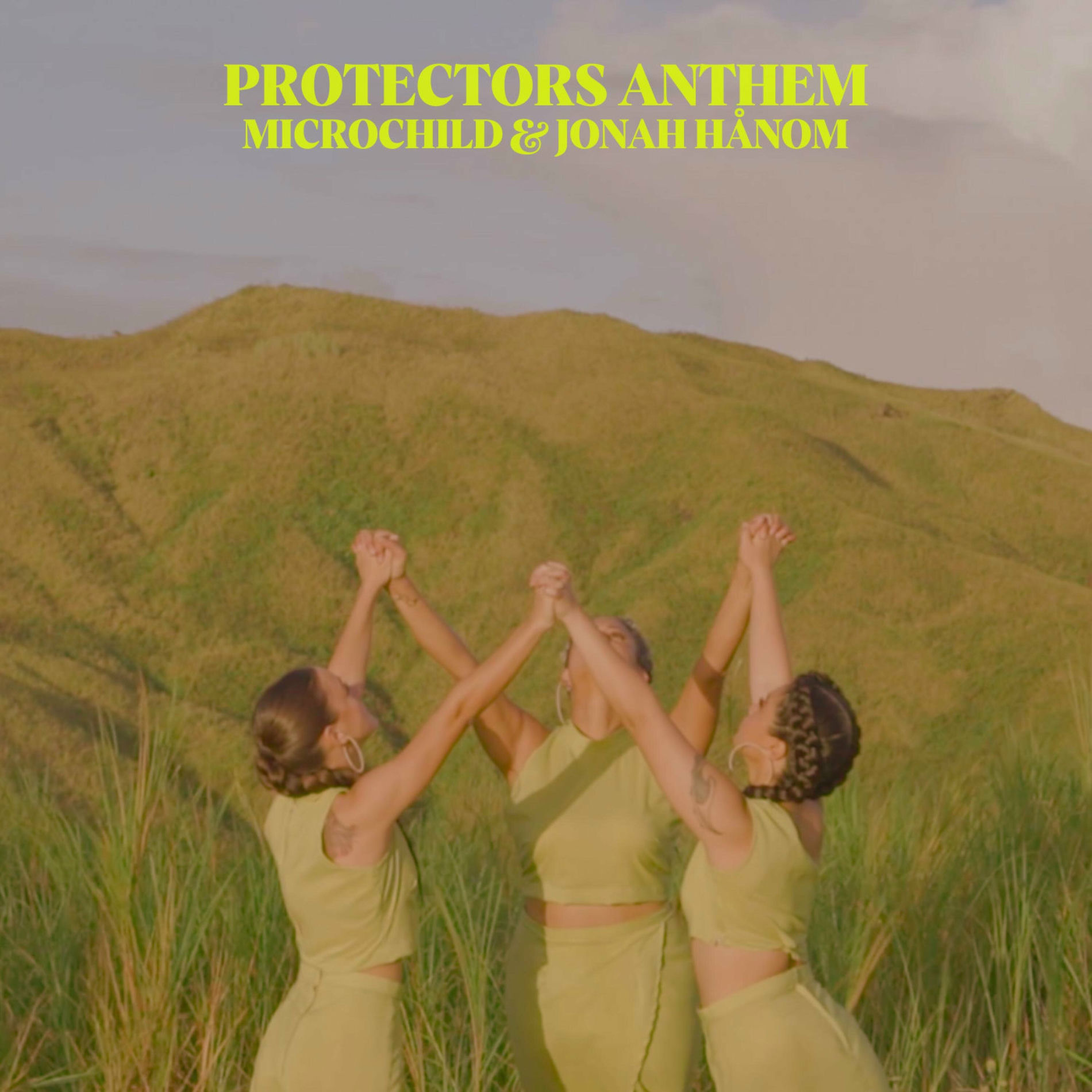 Album cover of Protectors Anthem