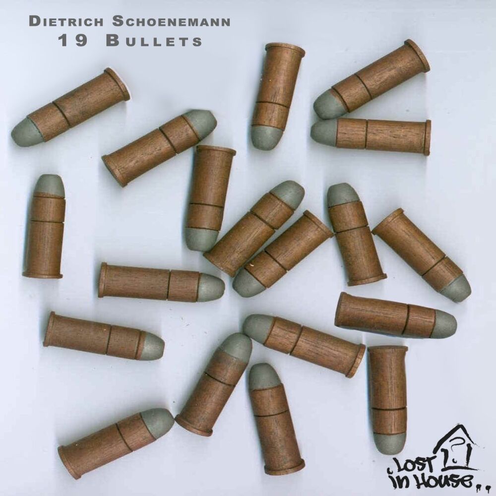Picture of 19 Bullets