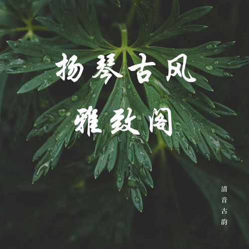 扬琴古风雅致阁