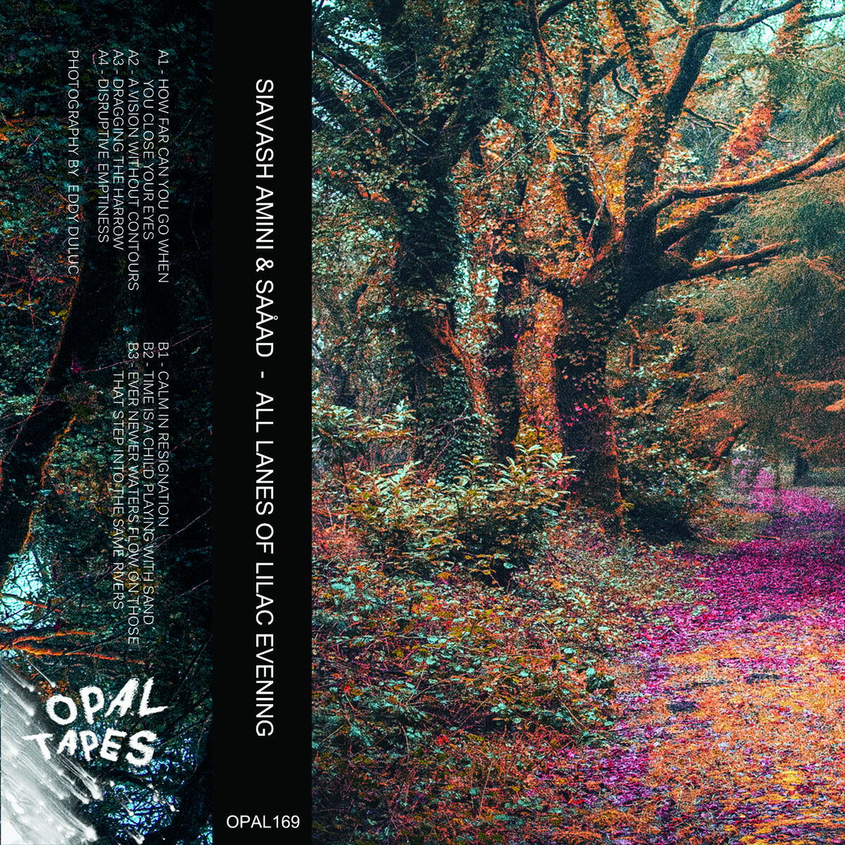 Album cover of All Lanes Of Lilac Evening