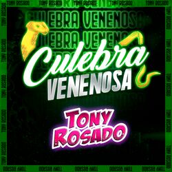 Cover of Culebra Venenosa