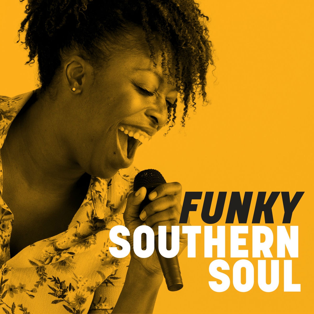 Album cover of Funky Southern Soul