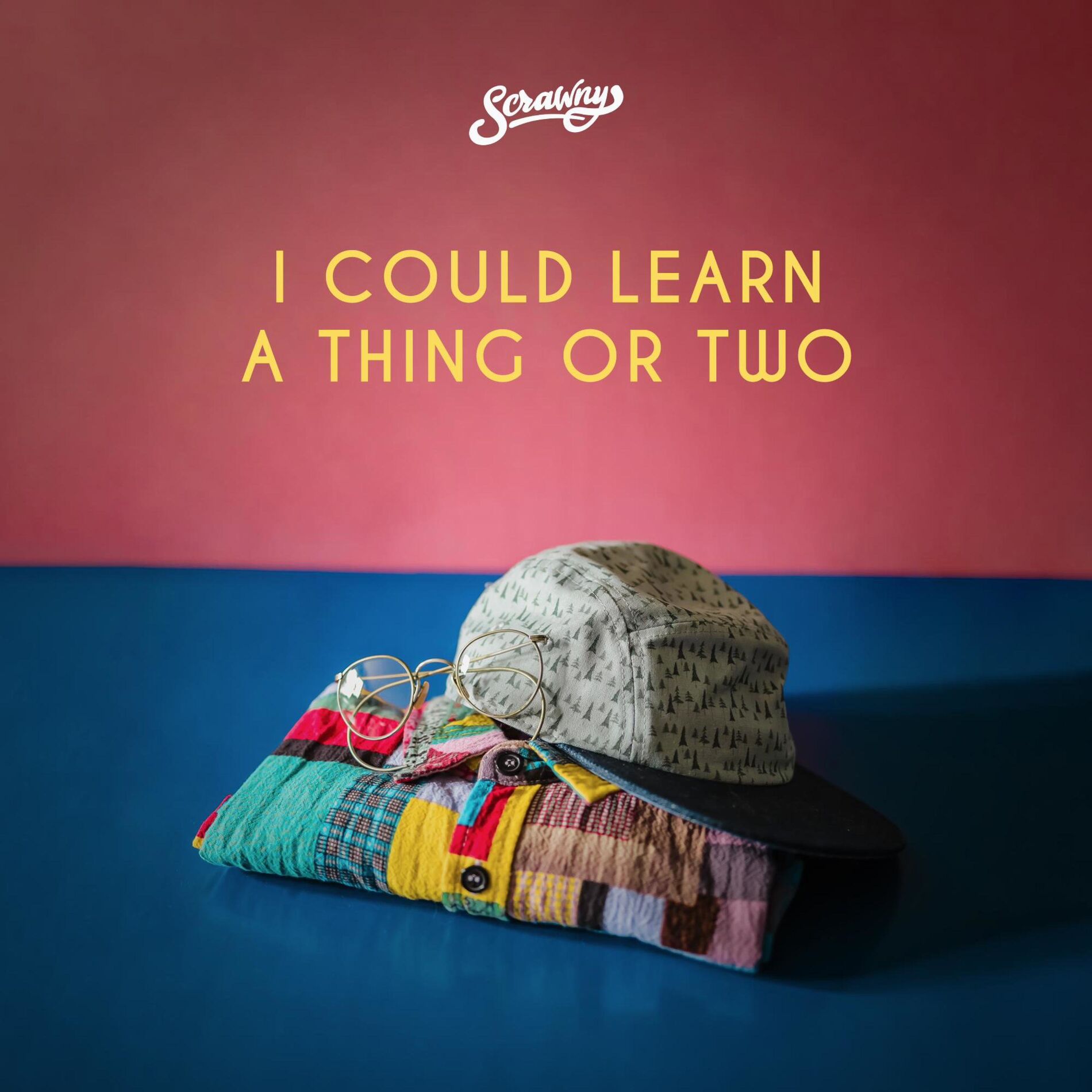 Album cover of I could learn a thing or two