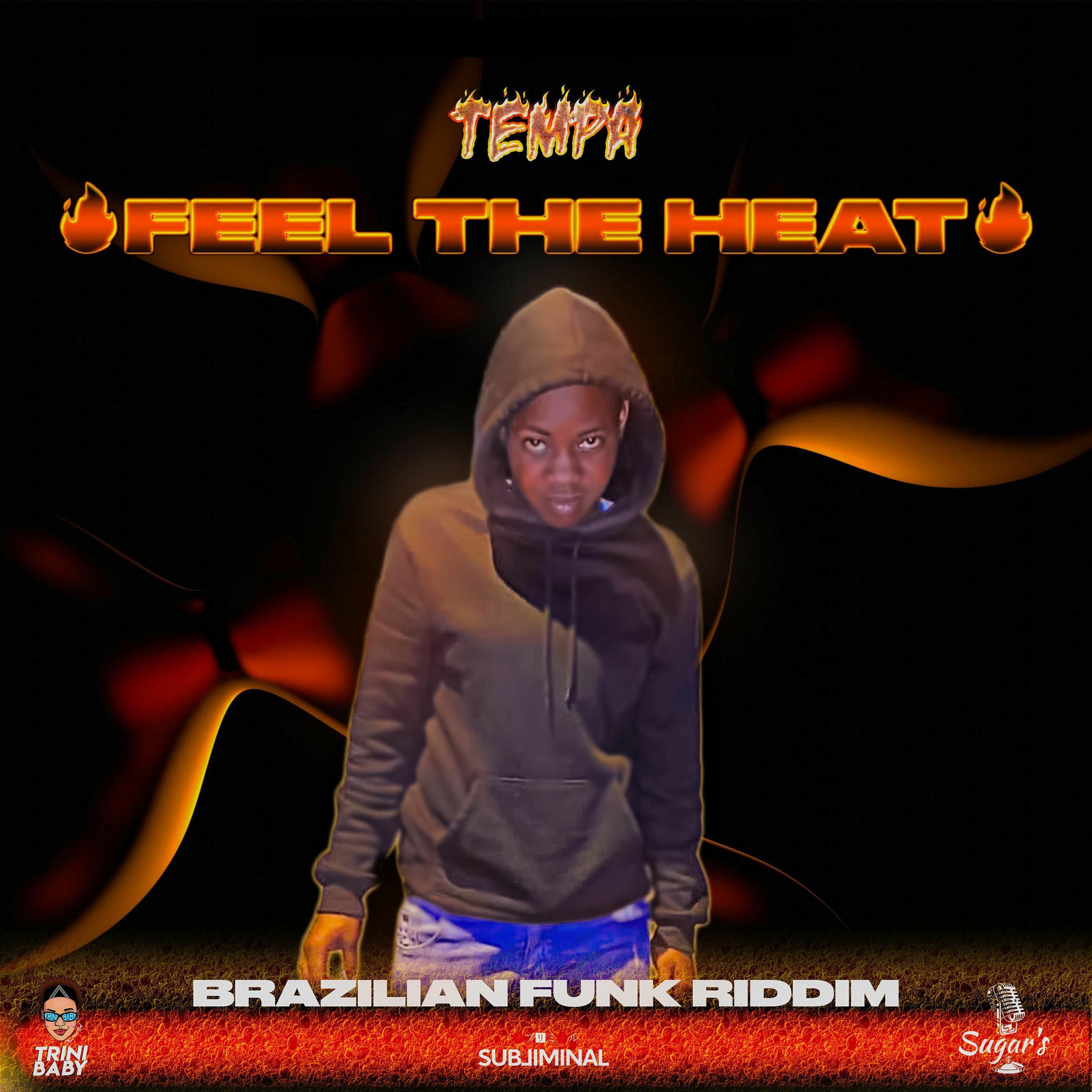 Album cover of Feel The Heat