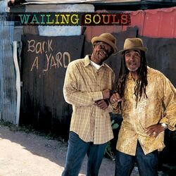 Cover of Back A Yard