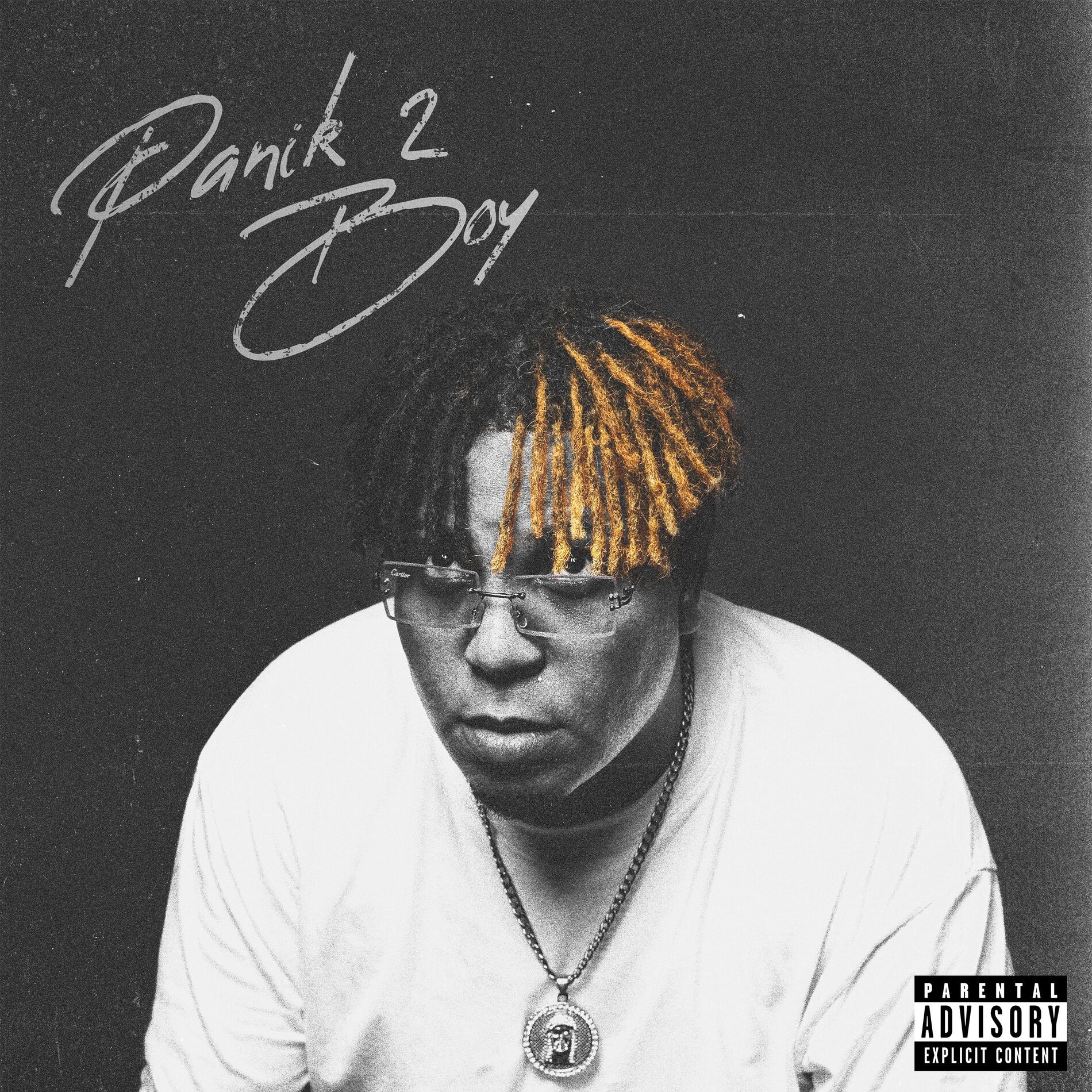 Album cover of Panik Boy 2