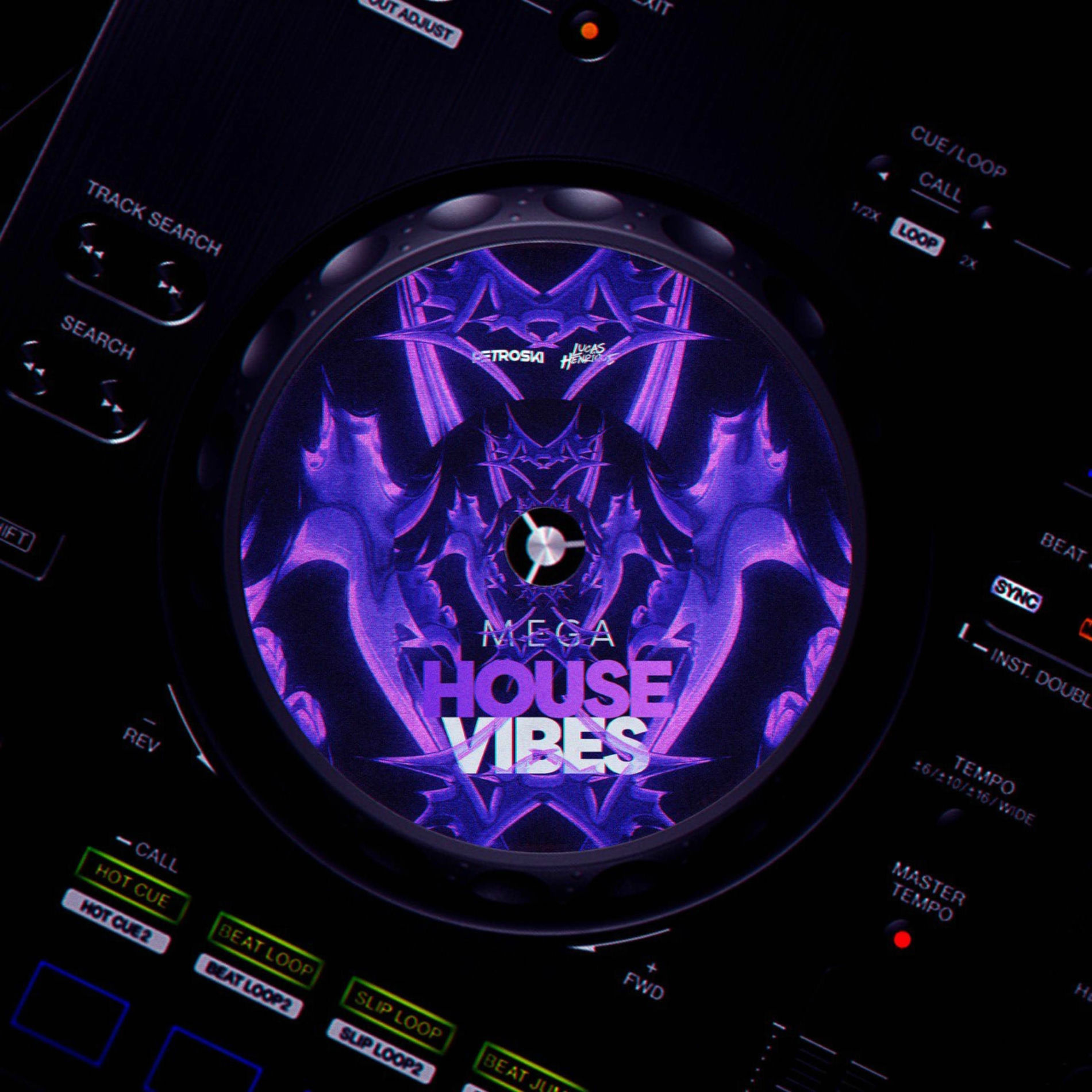 Album cover of Mega House Vibes