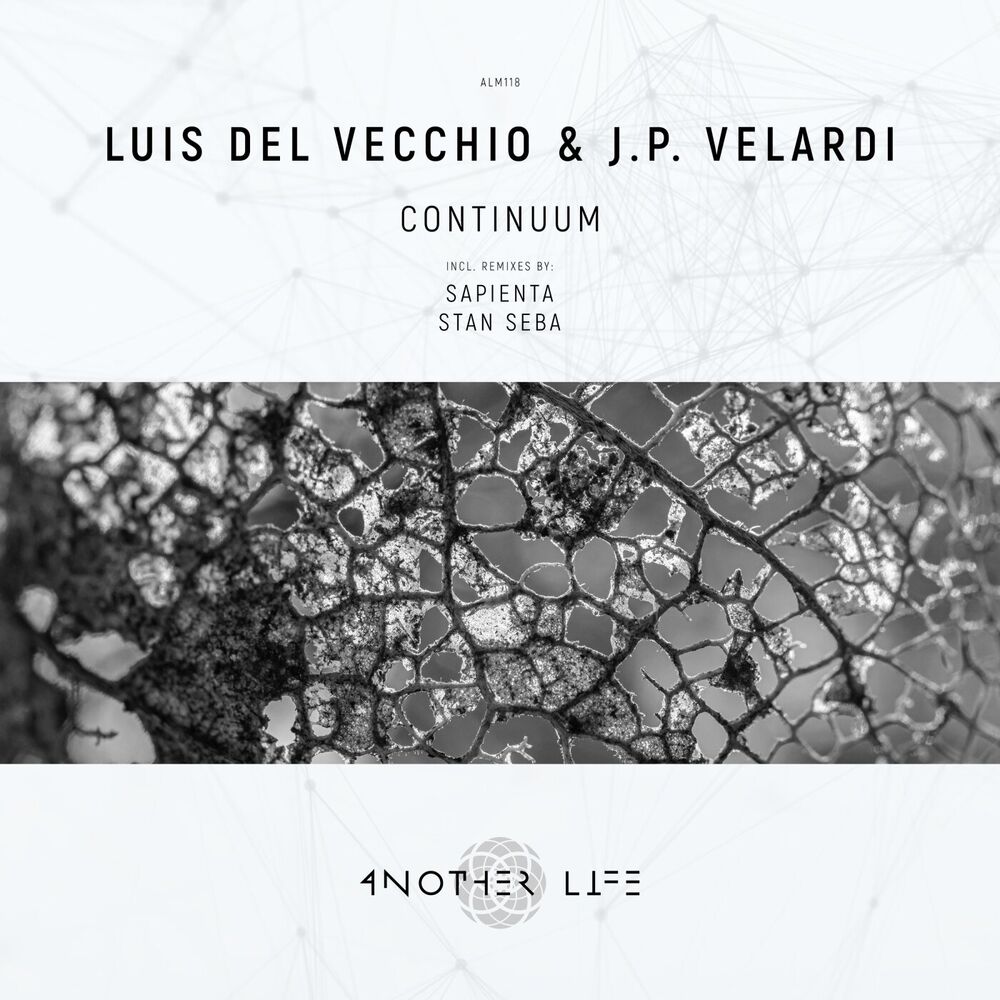 Picture of Continuum (Stan Seba Remix)