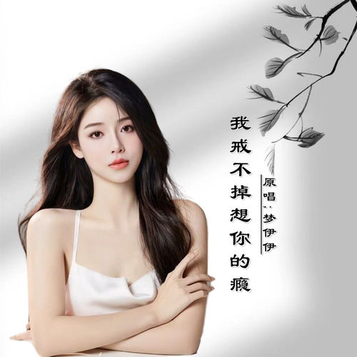 我戒不掉想你的瘾DJ