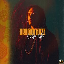 Cover of Dragon Haze