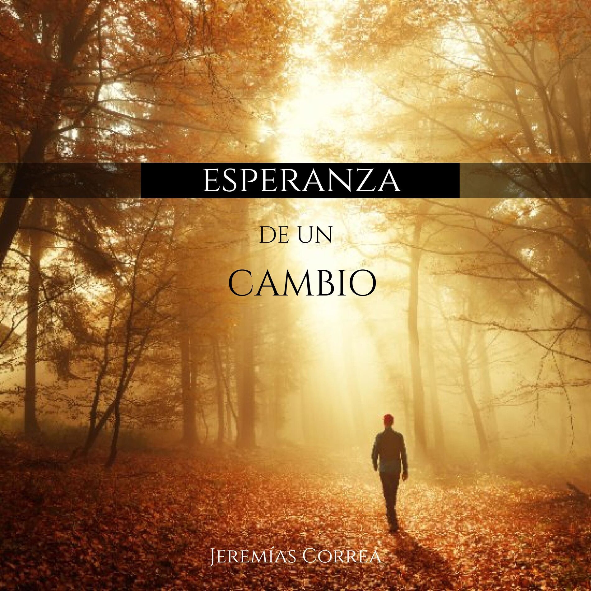 Album cover of Esperanza de un Cambio (Guitarra Suave) (instrumental)