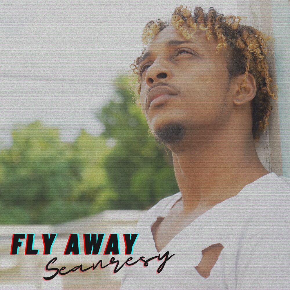 Picture of Fly Away