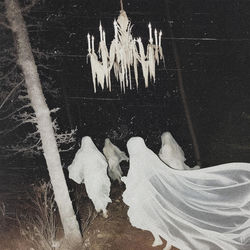 Cover of moonlight by undefined