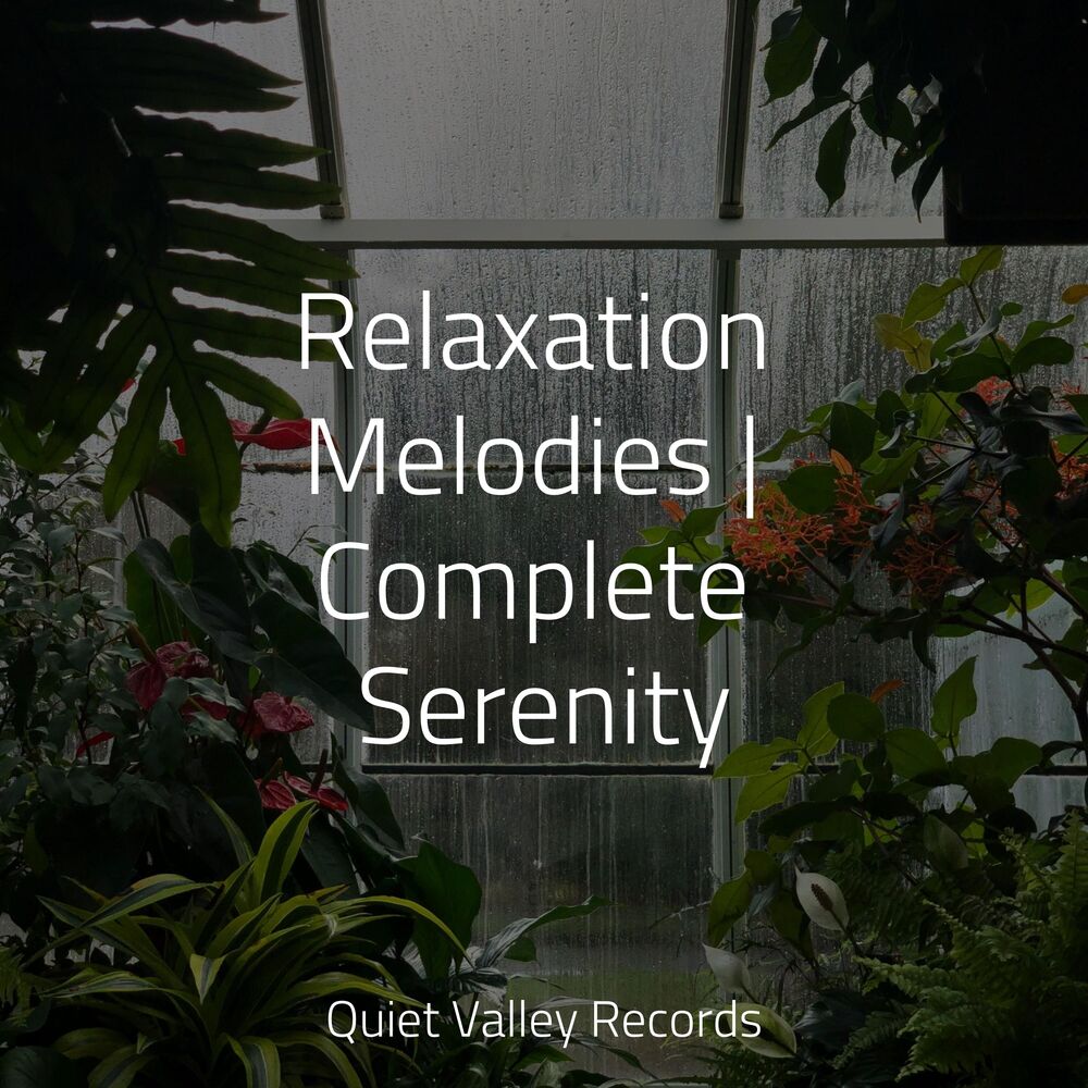Picture of Relaxation Melodies | Complete Serenity