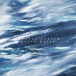 Cover of Black Water