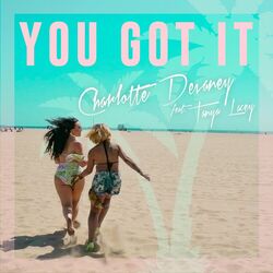 Cover of You Got It