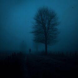 music cover