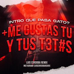 Cover of Intro Que Te Pasa Gato + Me Gustas Tu Y Tus Tet#s