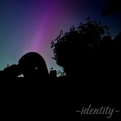 Cover of Identity