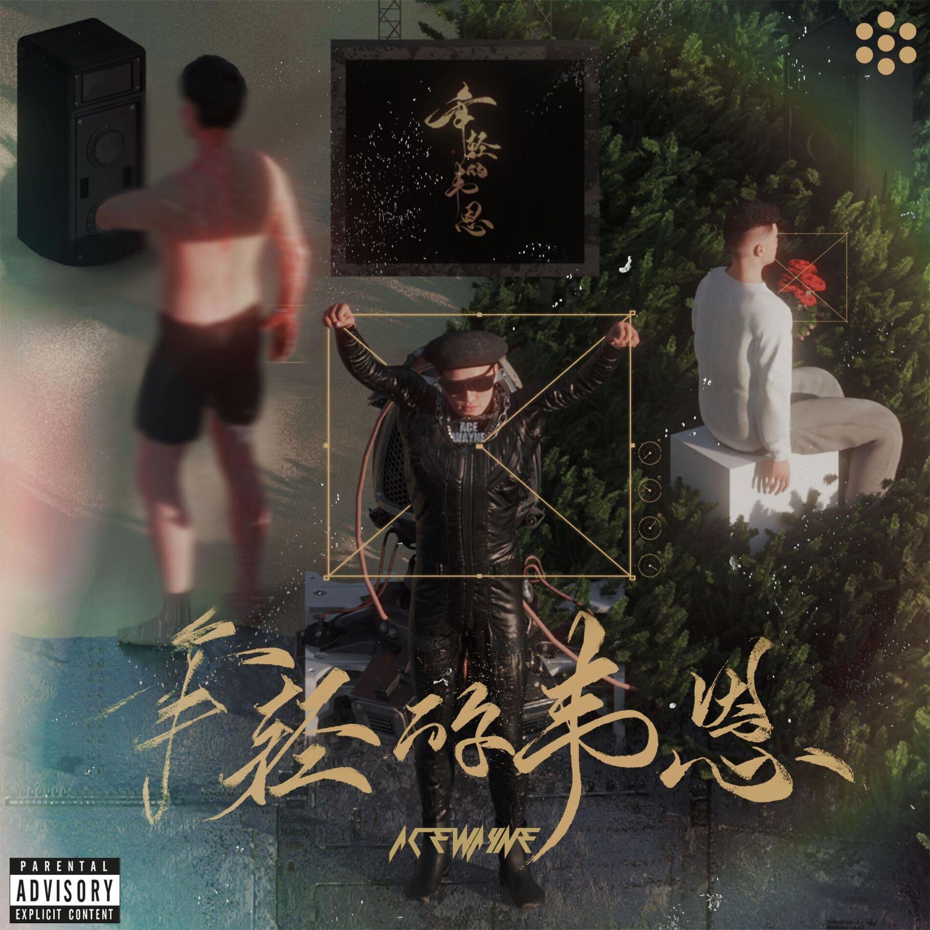 Album cover of 年轻的韦恩
