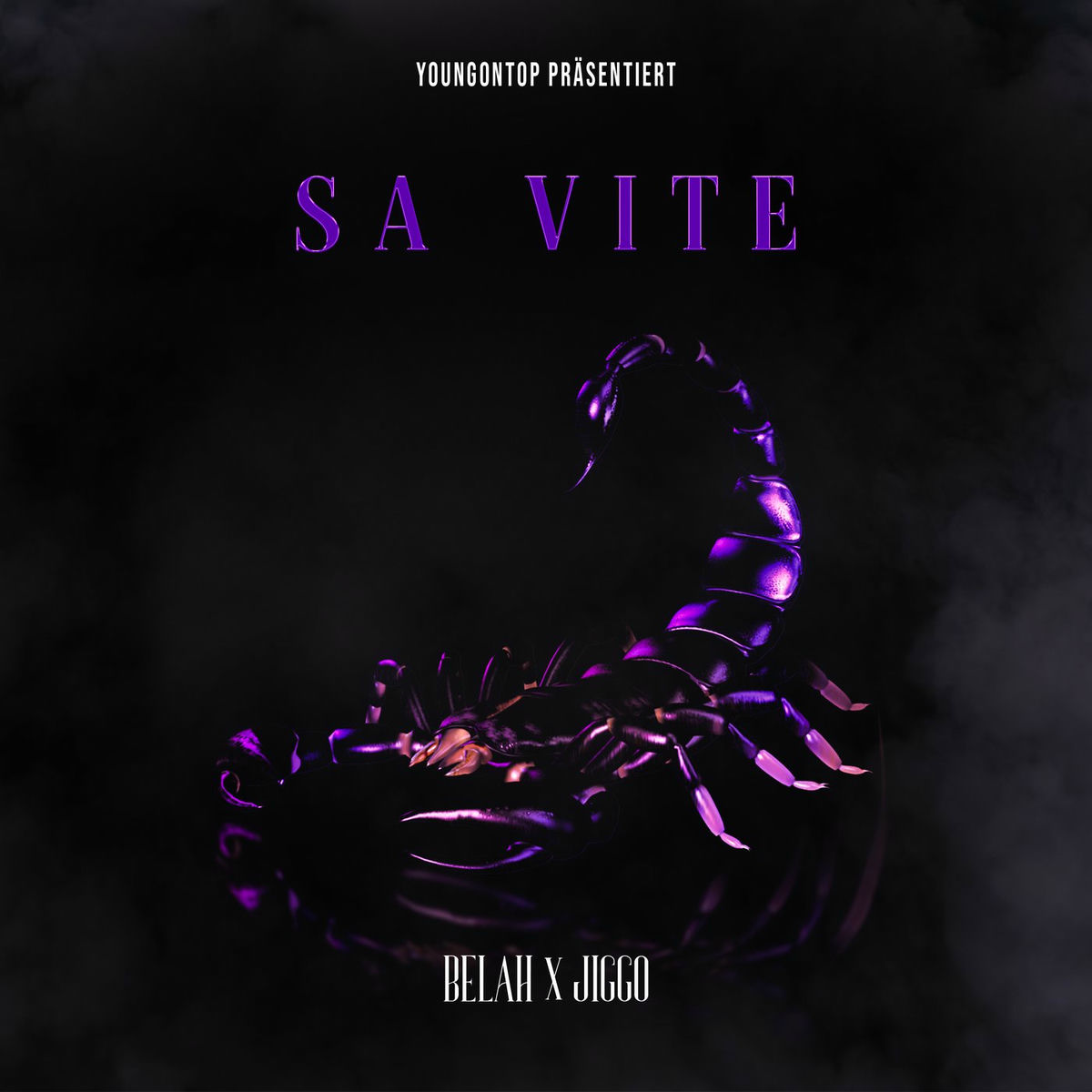 Album cover of Sa Vite