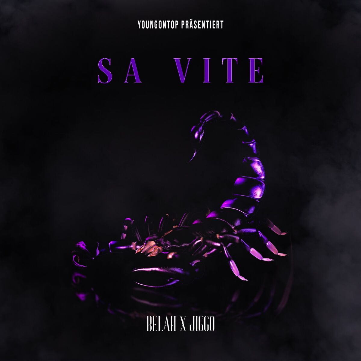 Album cover of Sa Vite