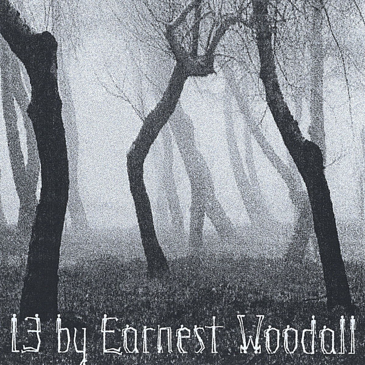 Album cover of 13