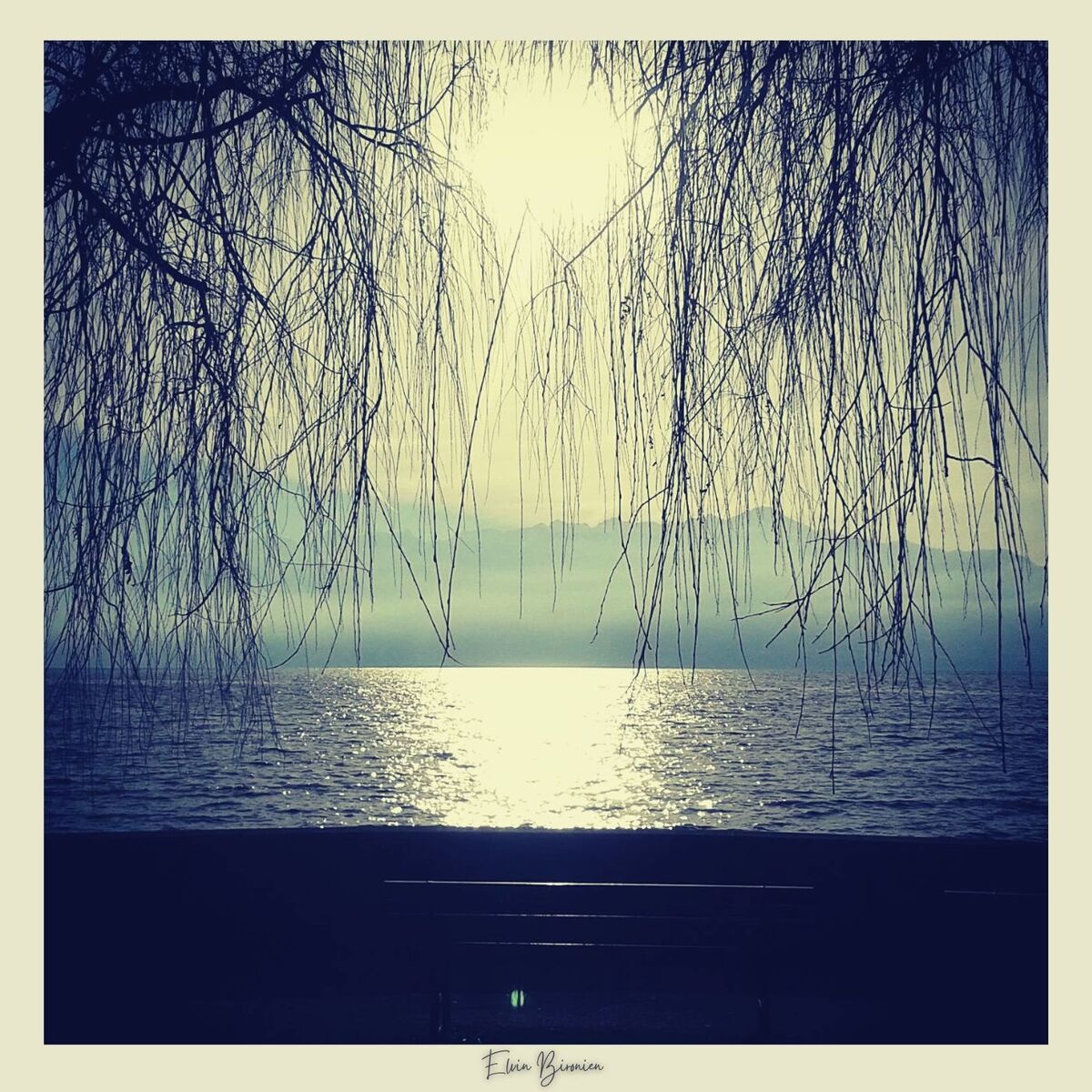 Album cover of Veni