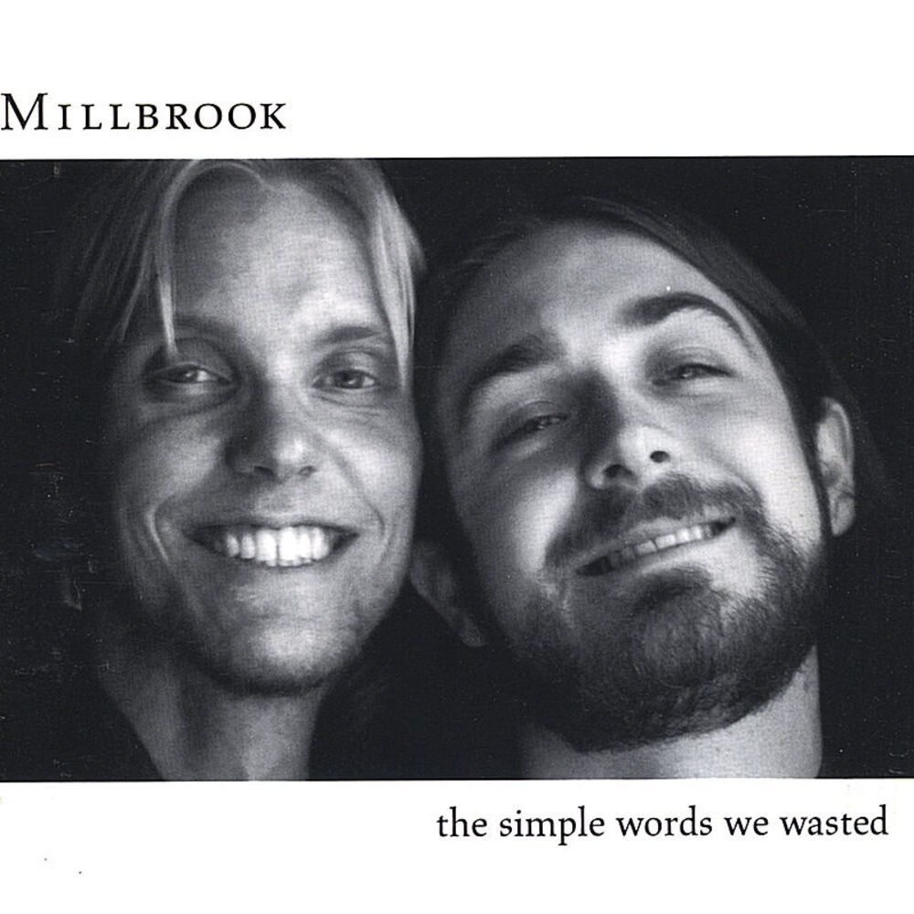 Picture of The Simple Words We Wasted