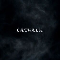 Cover of CATWALK