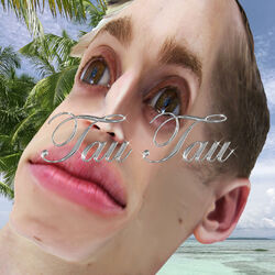 Cover of TAU TAU