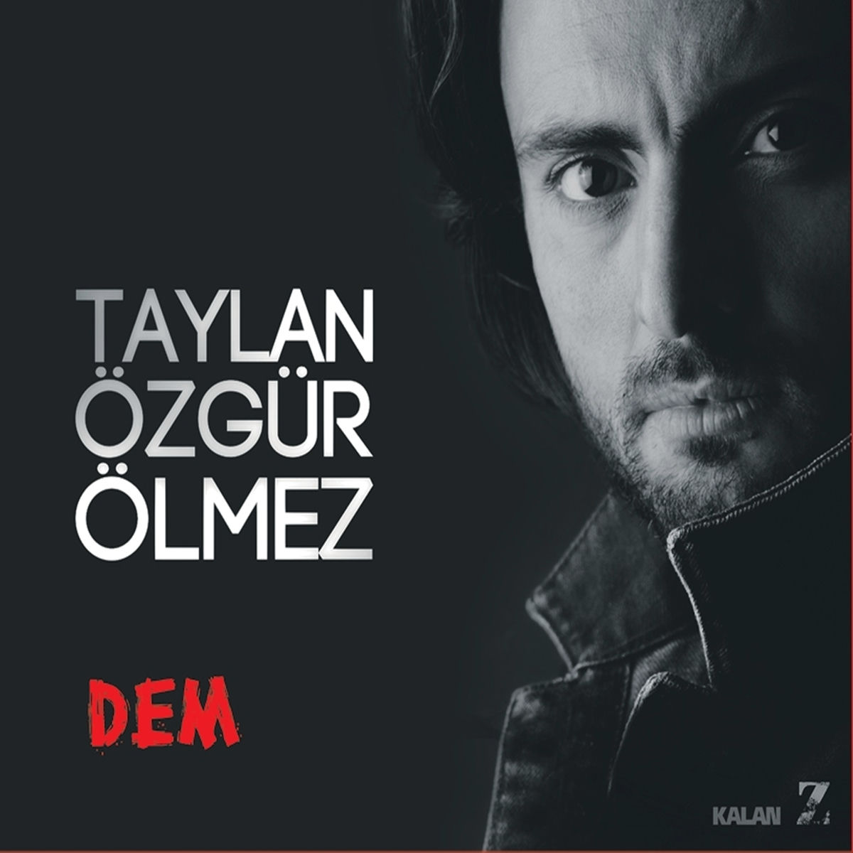 Album cover of Dem