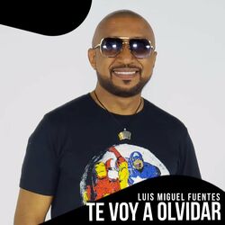 Cover of Te Voy a Olvidar