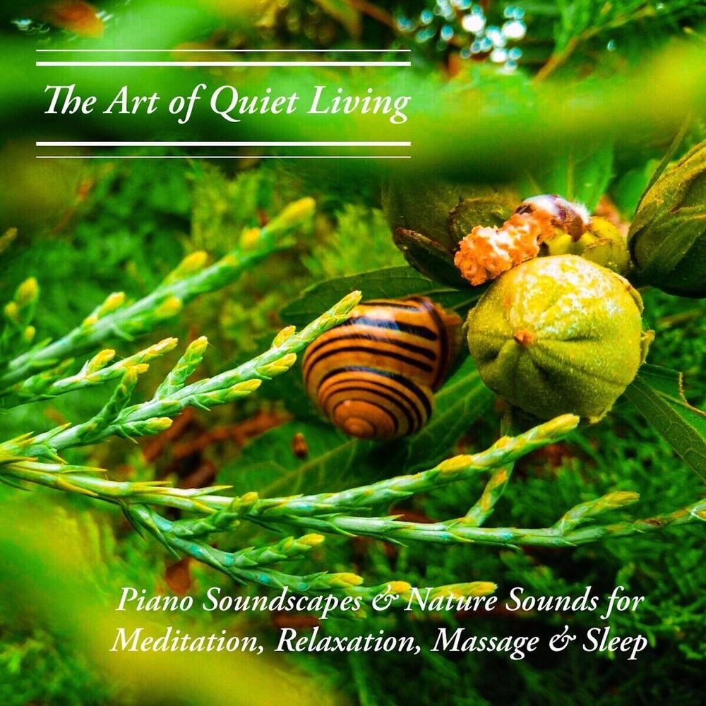 Picture of Piano Soundscapes & Nature Sounds for Meditation, Relaxation, Massage & Sleep