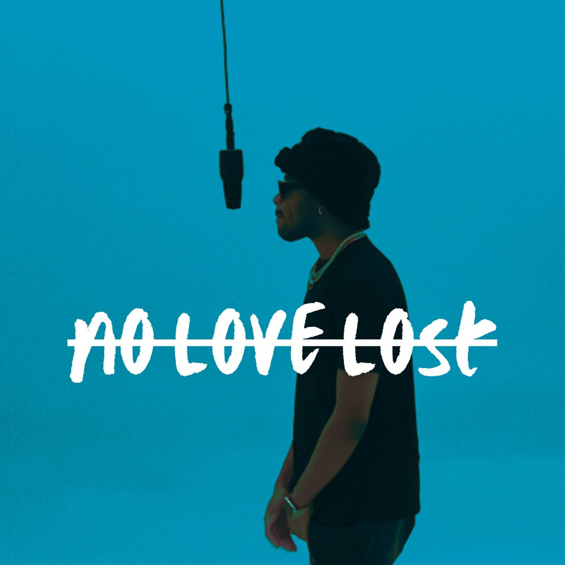 Album cover of No love lost