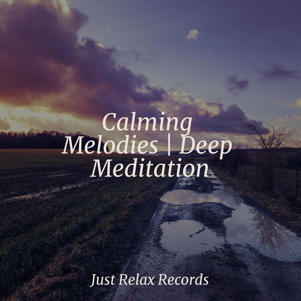 Picture of Calming Melodies | Deep Meditation